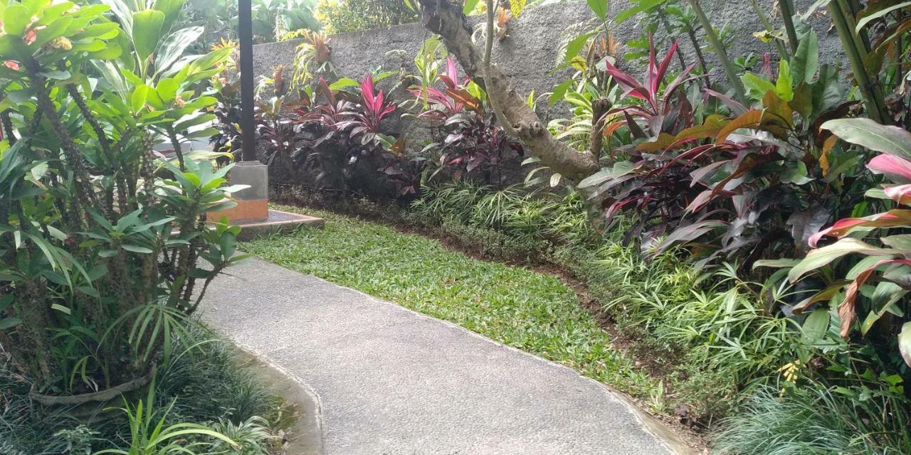 Villa Dedik House Ubud Exterior foto